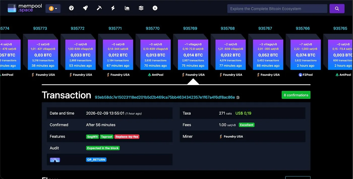 Mempool TX 93eb58 — Satoshi Tribute — $0.19 USD